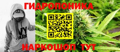 спиды Обь