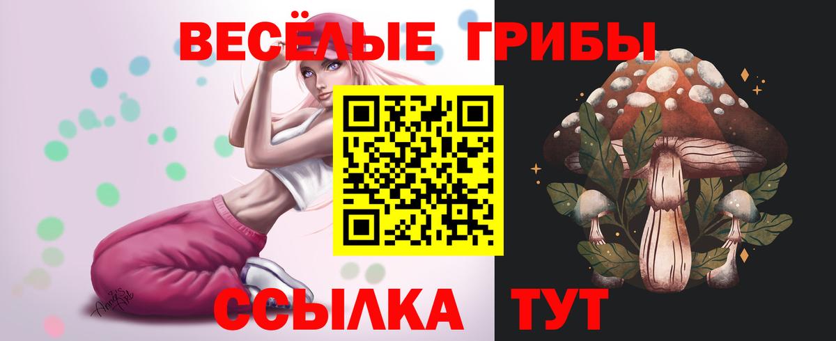 Галлюциногенные грибы ЛСД  Галлюциногенные грибы прущие грибы  Тихвин  Вход с VPN 